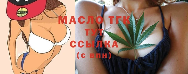 молекула духа Ладушкин