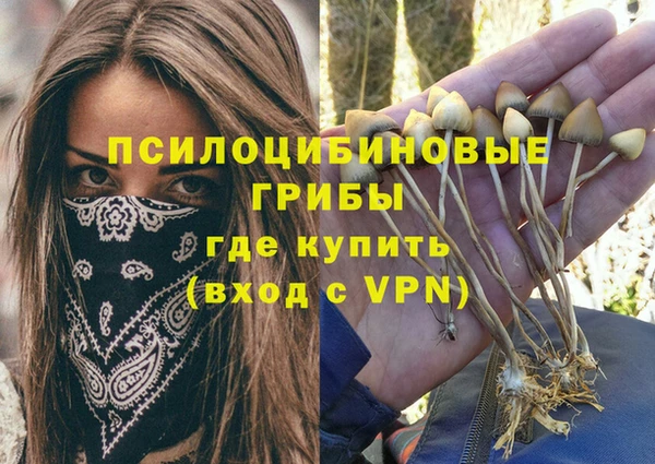 кристаллы Лагань