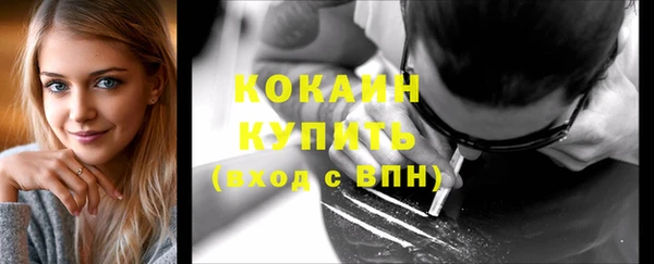 молекула духа Ладушкин
