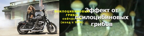 кокс Лабытнанги