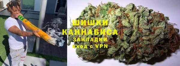 молекула духа Ладушкин