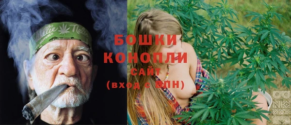 молекула духа Ладушкин
