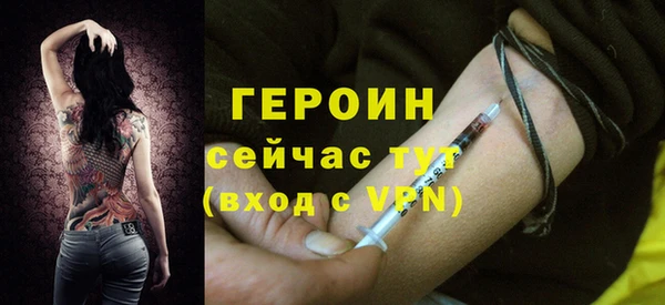 молекула духа Ладушкин