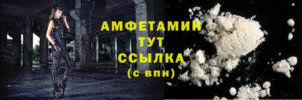 молекула духа Ладушкин