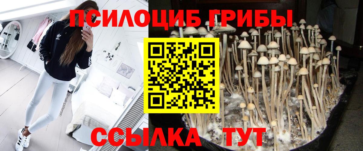 Псилоцибиновые грибы MAGIC MUSHROOMS Муравленко