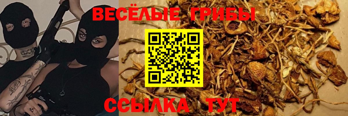 Галлюциногенные грибы мицелий  Галлюциногенные грибы MAGIC MUSHROOMS  Муравленко  Вход с VPN 